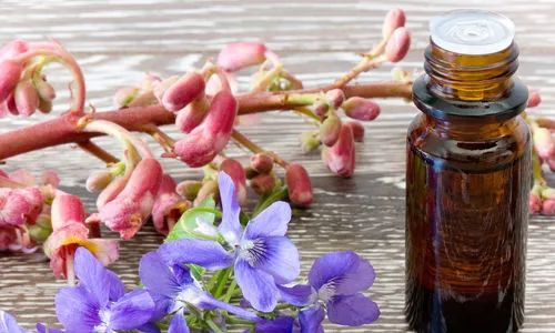 Operatore di Fiori di Bach
