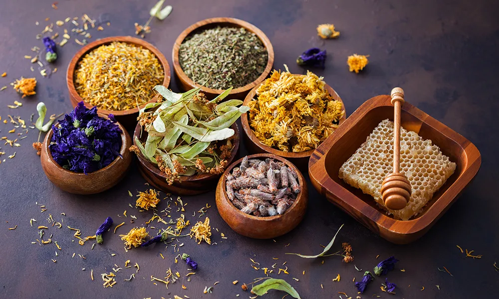 Operatore Naturopata