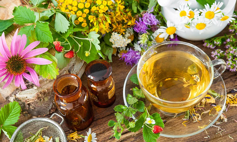 Naturopatia Animale Applicata