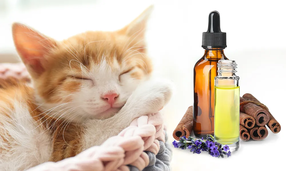 Fondamenti di Naturopatia Animale