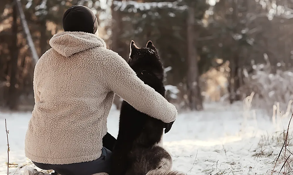 Connessione Empatica con gli Animali